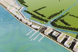 Dumaguete reclamation to devastate nearby protected areas, marine biodiversity— conservation group