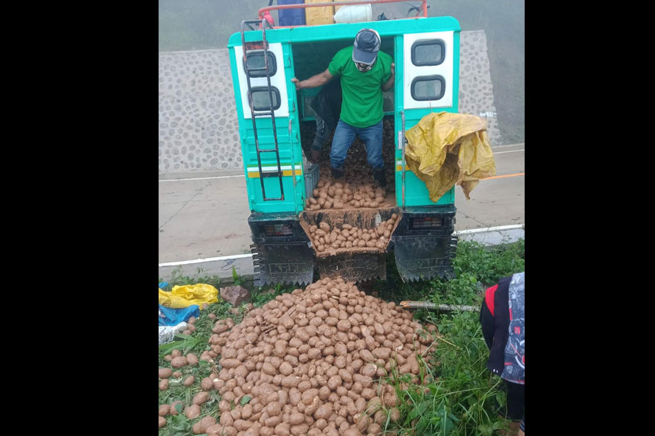 benguet-patatas