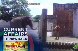 THROWBACK: Mali, the lone elephant in the Philippines