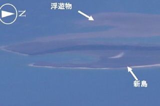 New island discovered in Japan after volcano erupts