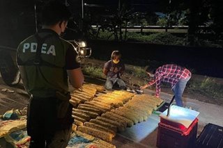 Lalaki nahulihan ng P6-milyong hinihinalang marijuana