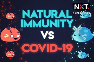 Effective ba ang natural immunity laban sa COVID-19?