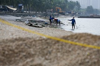 JV Ejercito: Sewage first over aesthetics in Manila Bay