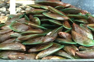 Ilang dagat sa E. Visayas positibo sa red tide toxins