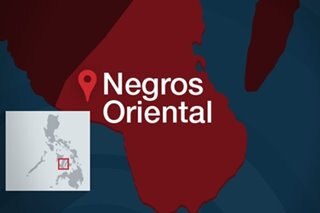 Negros Oriental to scrap swab tests for entry