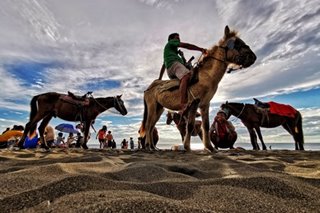 Horse owners pray for better days in Nasugbu