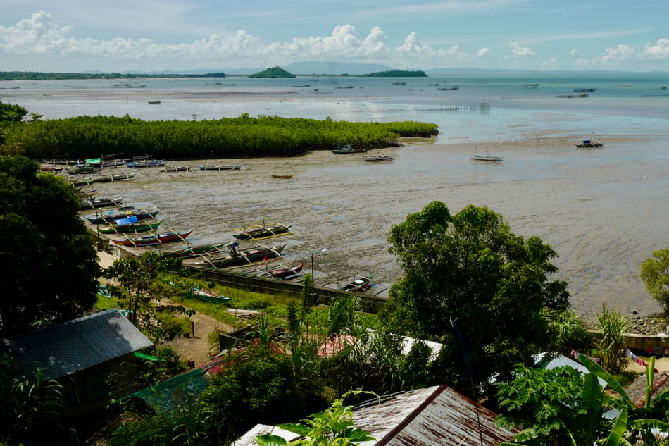 Cagsao is one of the littoral barangays of Calabanga, Camarines Sur. It lies near San Miguel Bay in Bicol region, where heavy siltation and storm surges are perennial problems. Jun Santiago III, CSsR