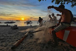 Another day at Apo Island amid COVID-19 pandemic
