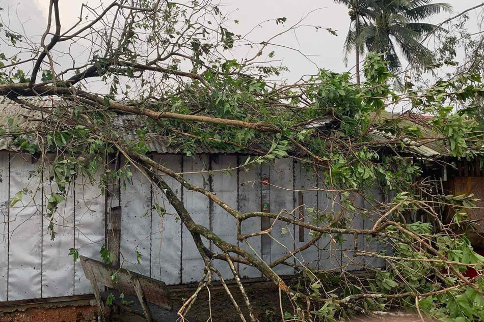 Odette&#39;s winds, rains wreak havoc across Visayas, Mimaropa 8