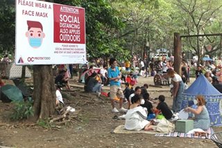 COVID-19 cases may reach peak mid-January: expert