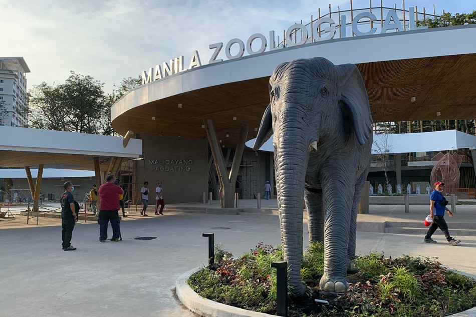 Visual artists may get free entrance to Manila Zoo ABSCBN News