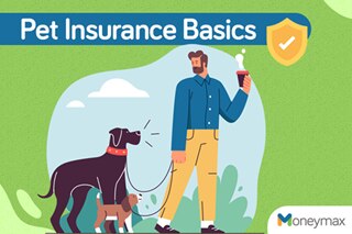 What is pet insurance and why do you need it?