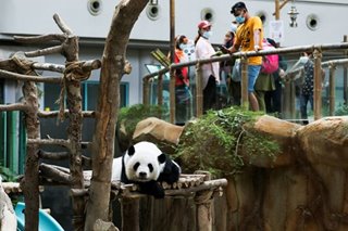 Malaysia's National Zoo reopens amid COVID-19 outbreak
