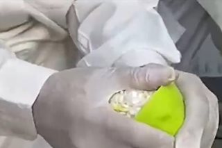 Drugs hidden inside plastic lemons seized in Dubai