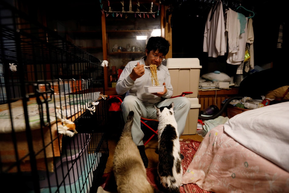 PHOTO ESSAY: The man who saves forgotten cats in Fukushima&#39;s nuclear zone 4