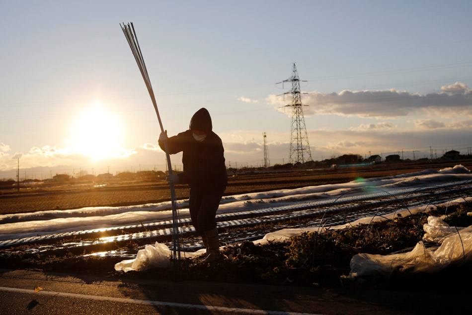 PHOTO ESSAY: The man who saves forgotten cats in Fukushima&#39;s nuclear zone 18