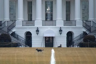 From the White House to the dog house: Biden's pooches sent home after 'biting incident'