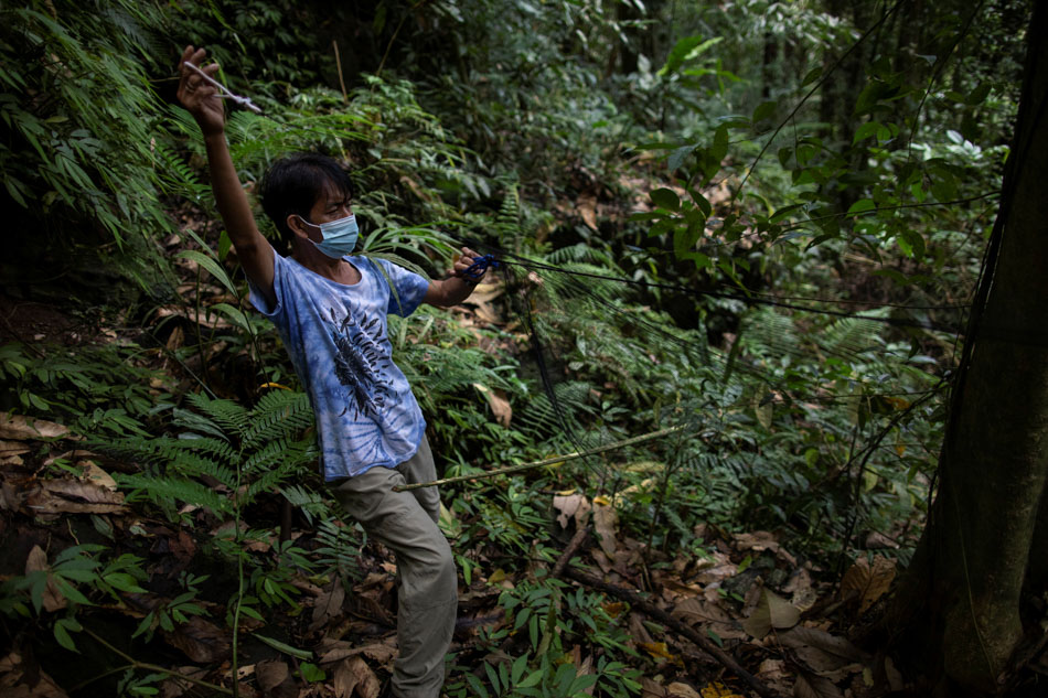 PHOTO ESSAY: By catching bats, these &#39;virus hunters&#39; hope to stop the next pandemic 5