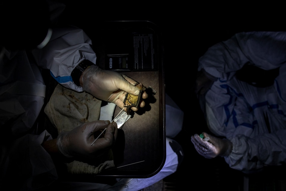 PHOTO ESSAY: By catching bats, these &#39;virus hunters&#39; hope to stop the next pandemic 2