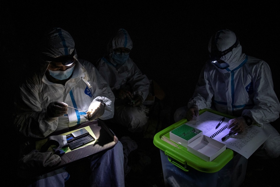 PHOTO ESSAY: By catching bats, these &#39;virus hunters&#39; hope to stop the next pandemic 9