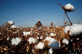 Western teams in Olympics silent over suspected use of Xinjiang cotton by Chinese brands
