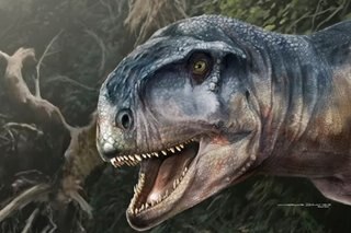 'One who causes fear': Carnivorous dinosaur with short snout, strong bite menaced Patagonia