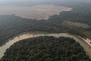 Brazilian pilot survives 38 days in Amazon after crash
