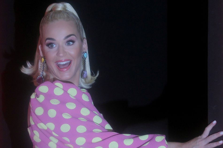 DiCaprio, Katy Perry urge Biden to refuse Brazil environment deal 1