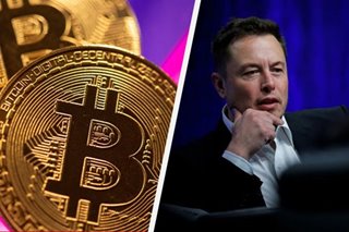 Bitcoin tumble slows with help from Elon Musk