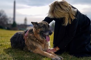 Bidens announce death of 'first dog' Champ