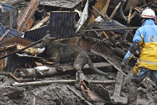 Survivor window closing in Japan landslide, 24 unaccounted for