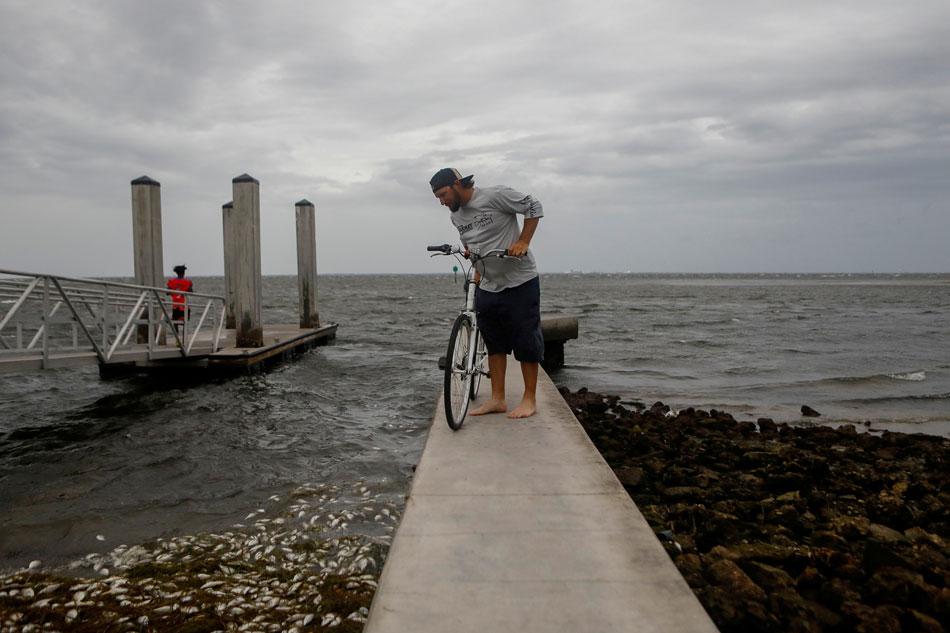 Elsa weakens to tropical storm, heads towards Florida Gulf coast 1