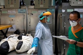 Global COVID-19 cases top 200 million