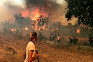 Algerian villagers grapple with wildfire aftermath