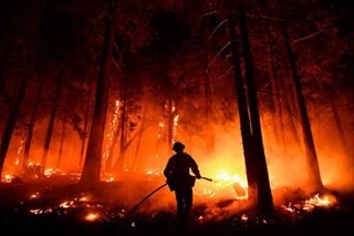 Wildfire hits Sequoia National Forest