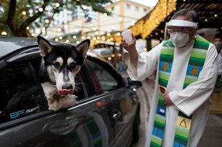 Pets receive blessings in drive-through ceremony