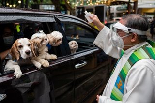Celebrating World Animal Day on October 4