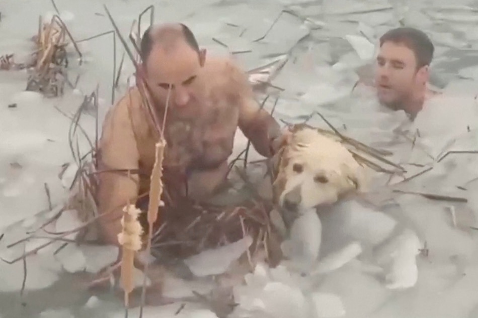 Spanish police rescue a dog from a frozen reservoir in the municipality of Canfranc in Spain, in this still image taken from a handout video obtained by Reuters on December 8, 2021. Spanish Police/Handout via Reuters
