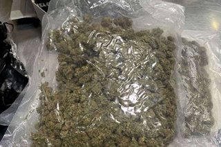 Authorities arrest 2 over air parcel allegedly containing high grade marijuana