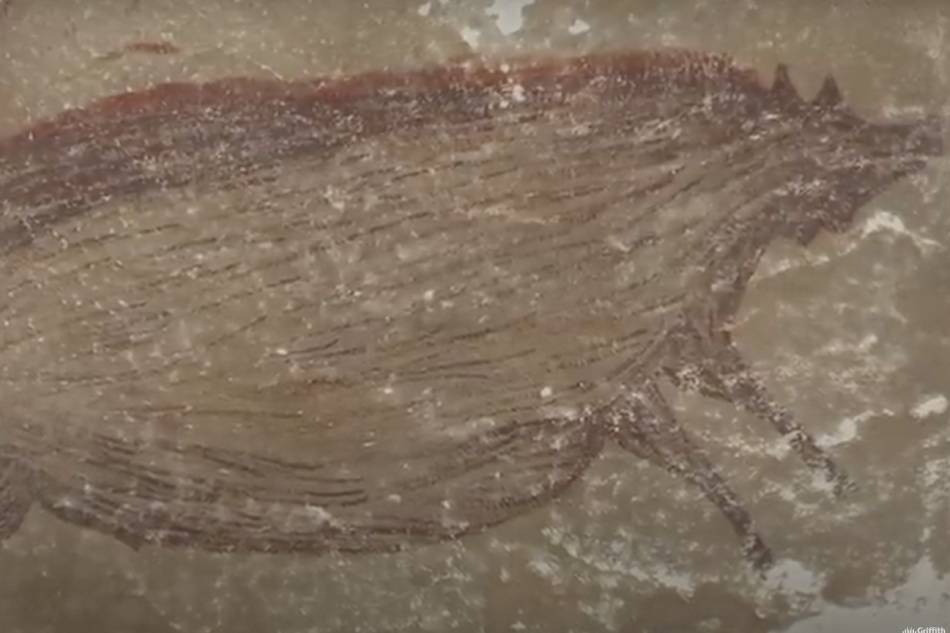 World&#39;s oldest known cave painting found in Indonesia 1