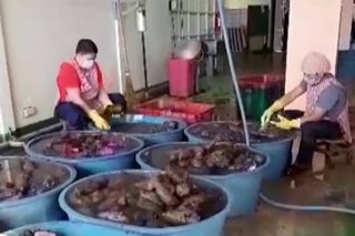 'Iba 'Yan': Convent na gumagawa ng ube jam, ibinahagi ang mga pagsubok ng pandemiya