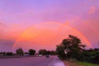 Rainbow under a pink sky