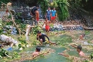 Ilang naliligo sa pool sa Davao del Sur, sugatan nang mabagsakan ng naputol na puno