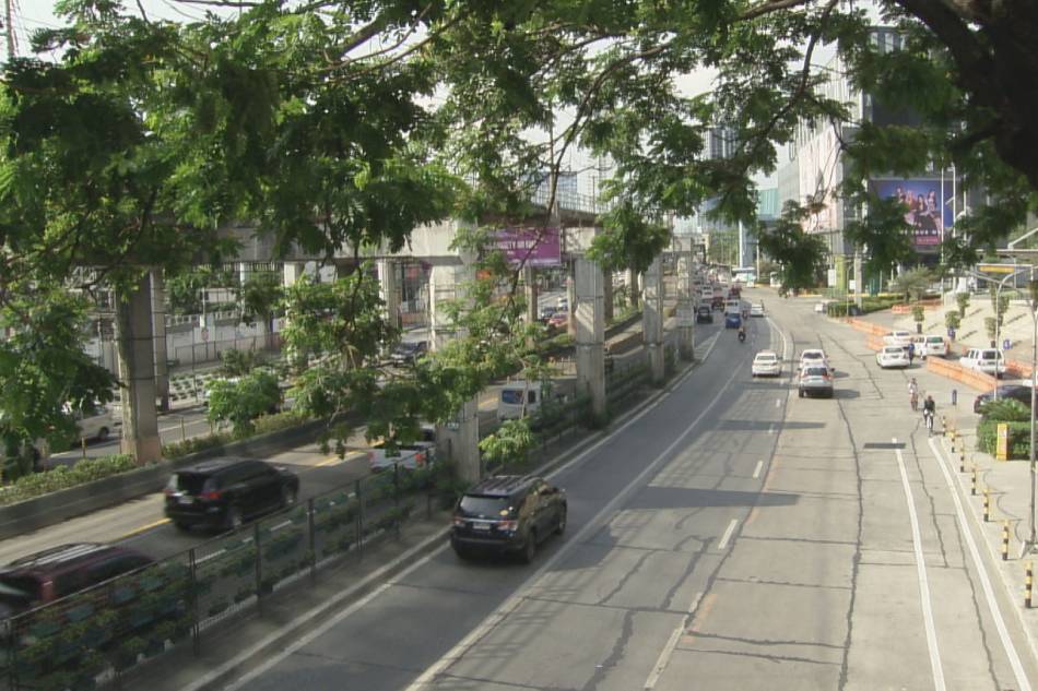 Green EDSA movement' inilunsad para pagandahin ang EDSA | ABS-CBN News