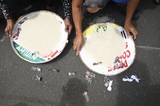 Farmers' group umaaray sa panibagong tapyas sa taripa ng imported rice