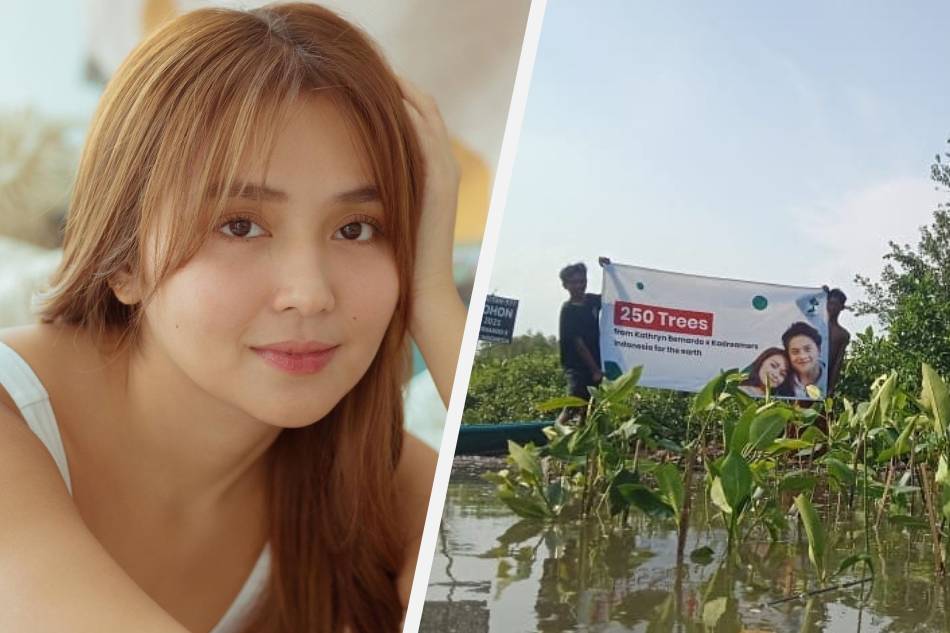 Kathryn’s fans in Indonesia plant over 250 trees in actress’ name 1