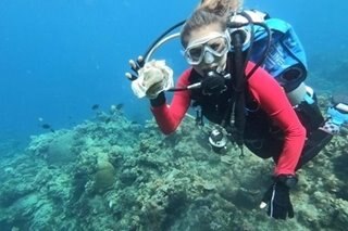 Face masks add to sea pollution at popular Batangas dive site
