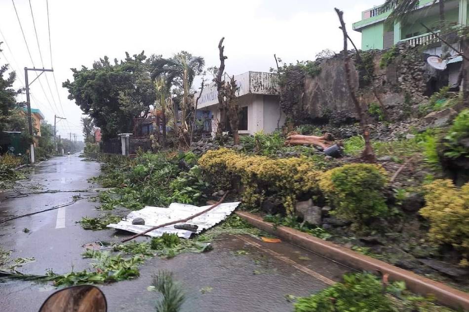 Trees, utility posts toppled, as Kiko batters Batanes 1