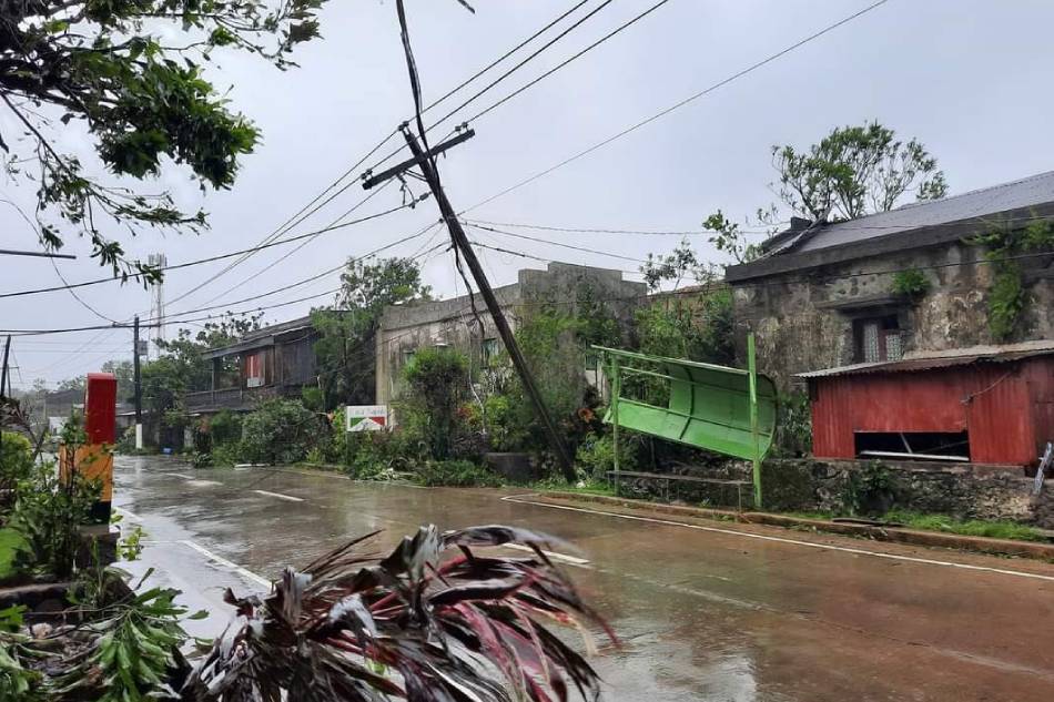 Trees, utility posts toppled, as Kiko batters Batanes 3