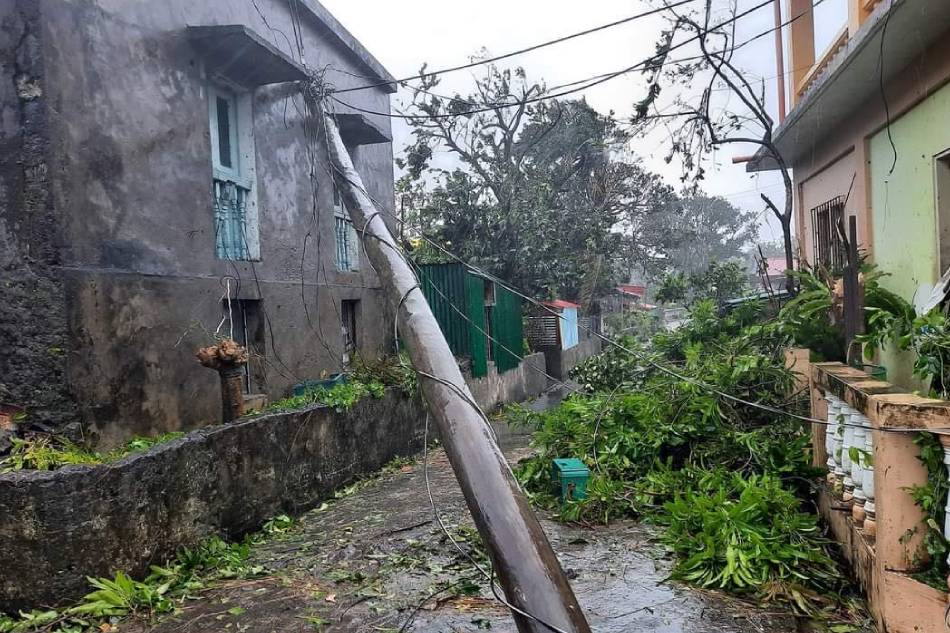 Trees, utility posts toppled, as Kiko batters Batanes 5